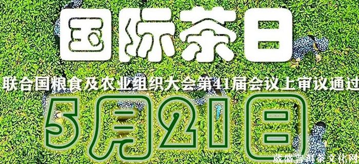一山一味||同一款茶，兩次品茗？